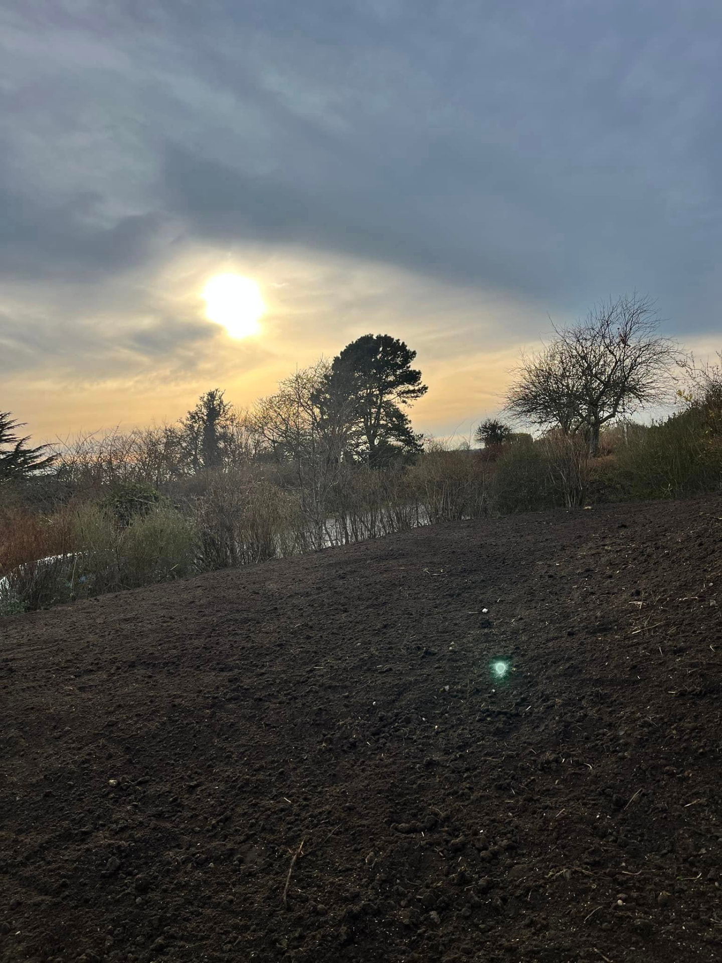 Nyplaneret grund i solnedgang