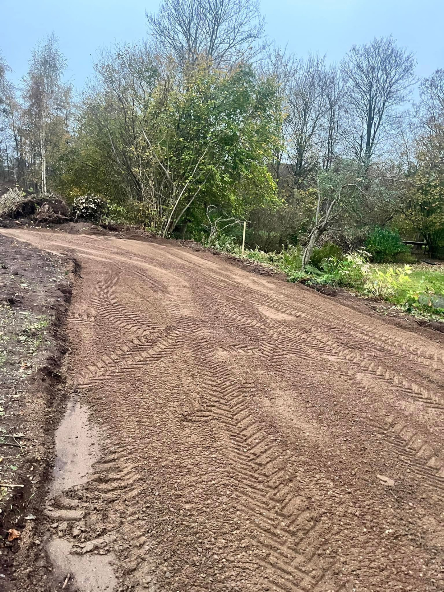 Nyetableret grusvej gennem skovområde