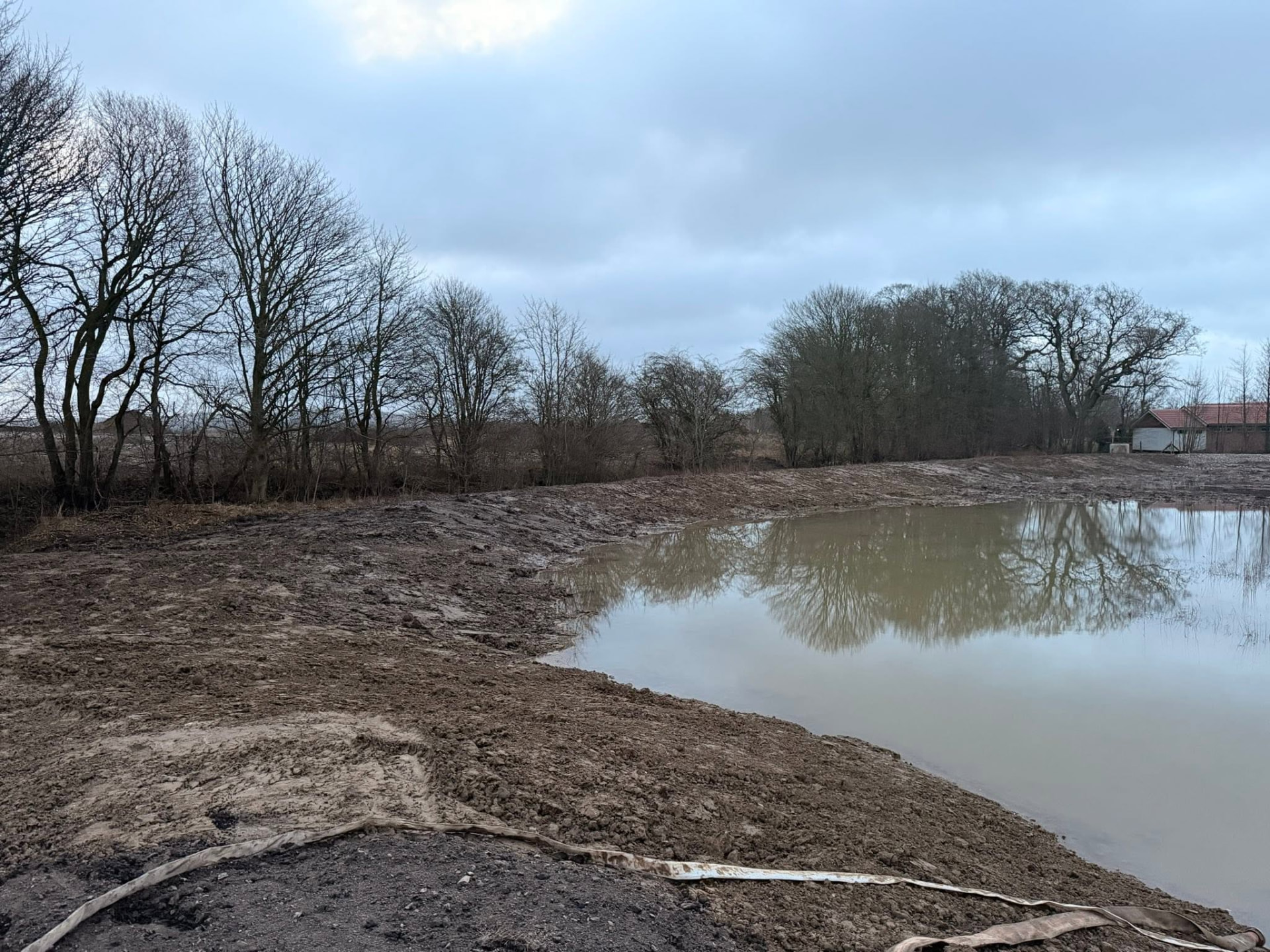Udgravet sø og regnvandsbassin ved skovkant